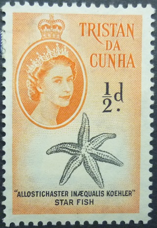 Tristan Da Cunha SG028 ½d orange 1960