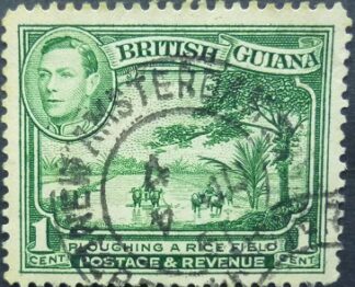 Britisg Guiana SG308aa 1 cent green 1938
