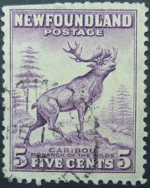 Newfounland SG213 5 cents purple 1932