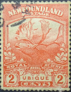 Newfoundland SG131 2 cents red 1919