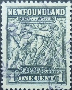 Newfoundland SG276 1 cent grey 1932